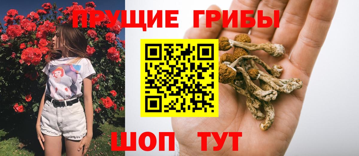 Галлюциногенные грибы Psilocybine cubensis  Вход с VPN  даркнет сайт  Кизляр 