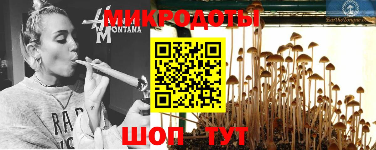 Псилоцибиновые грибы MAGIC MUSHROOMS Кизляр